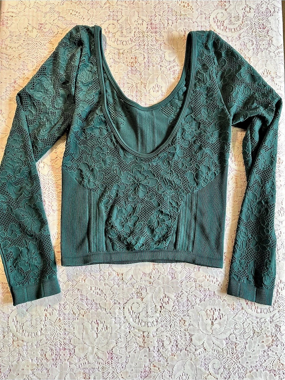 Urban Outfitters Holly Floral Lace Long Sleeve Crop Top Green L/XL NWT